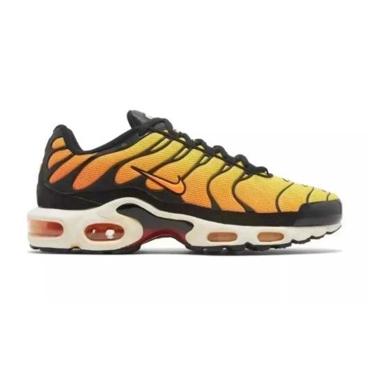 Nike Air Max TN Tiger