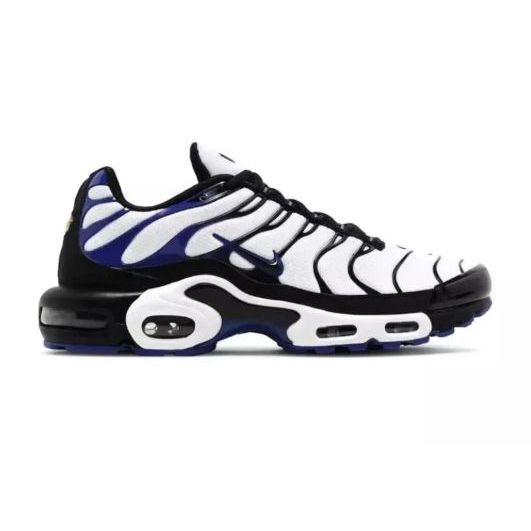Nike Air Max TN Persian Violet