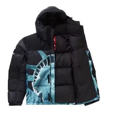 Supreme The North Face Statue of Liberty Baltoro Jacket Black - Hypelusitana