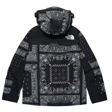 The North Face Novelty GTX Paisley Mountain Jacket Black - Hypelusitana