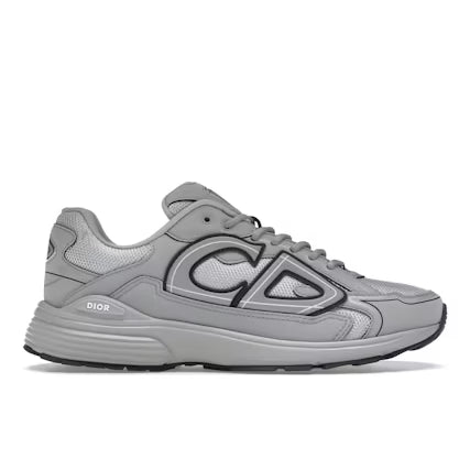 Dior B30 Gray
